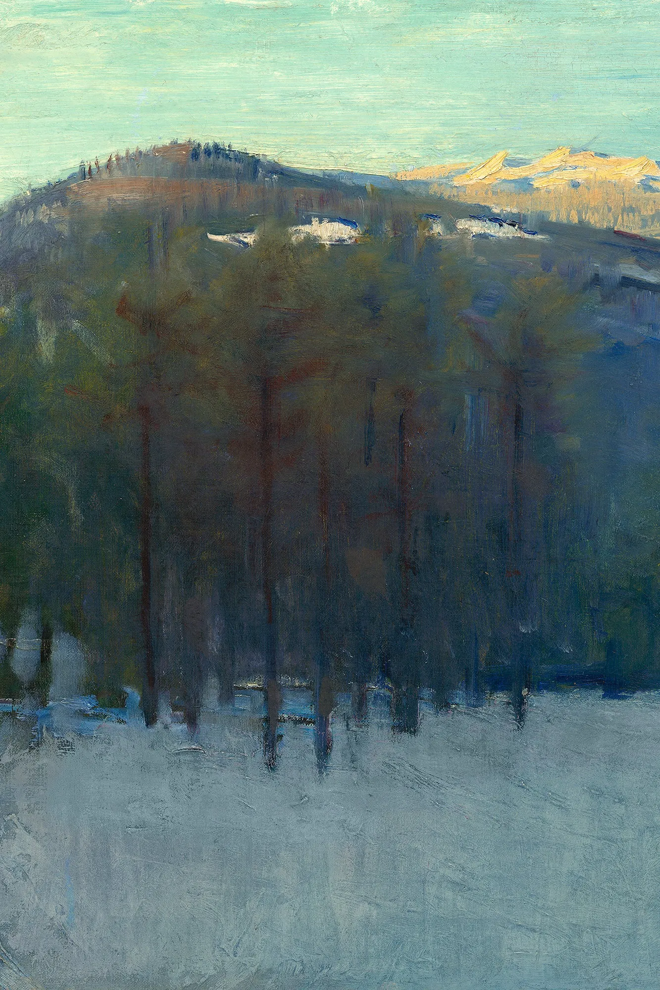 Cold Winter