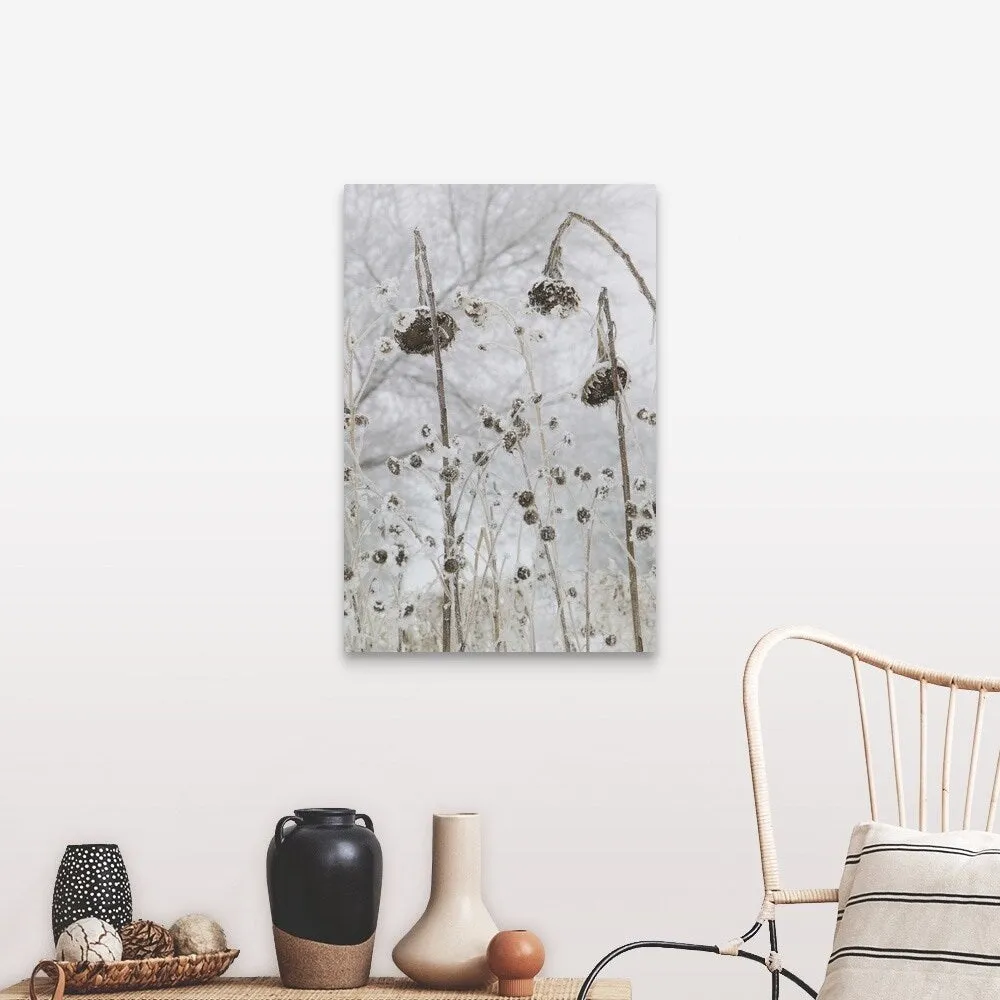 "a number of flowers that have wilted due to cold and snow" Canvas Wall Art