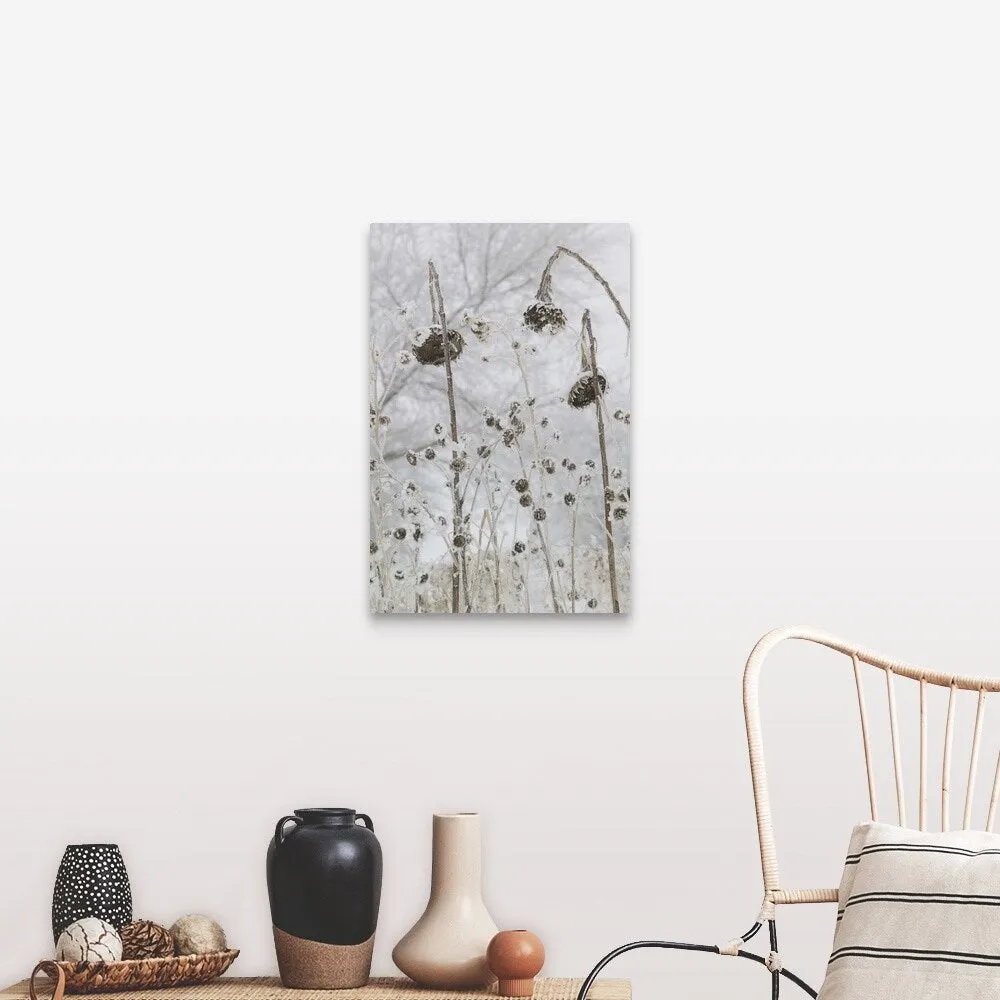 "a number of flowers that have wilted due to cold and snow" Canvas Wall Art