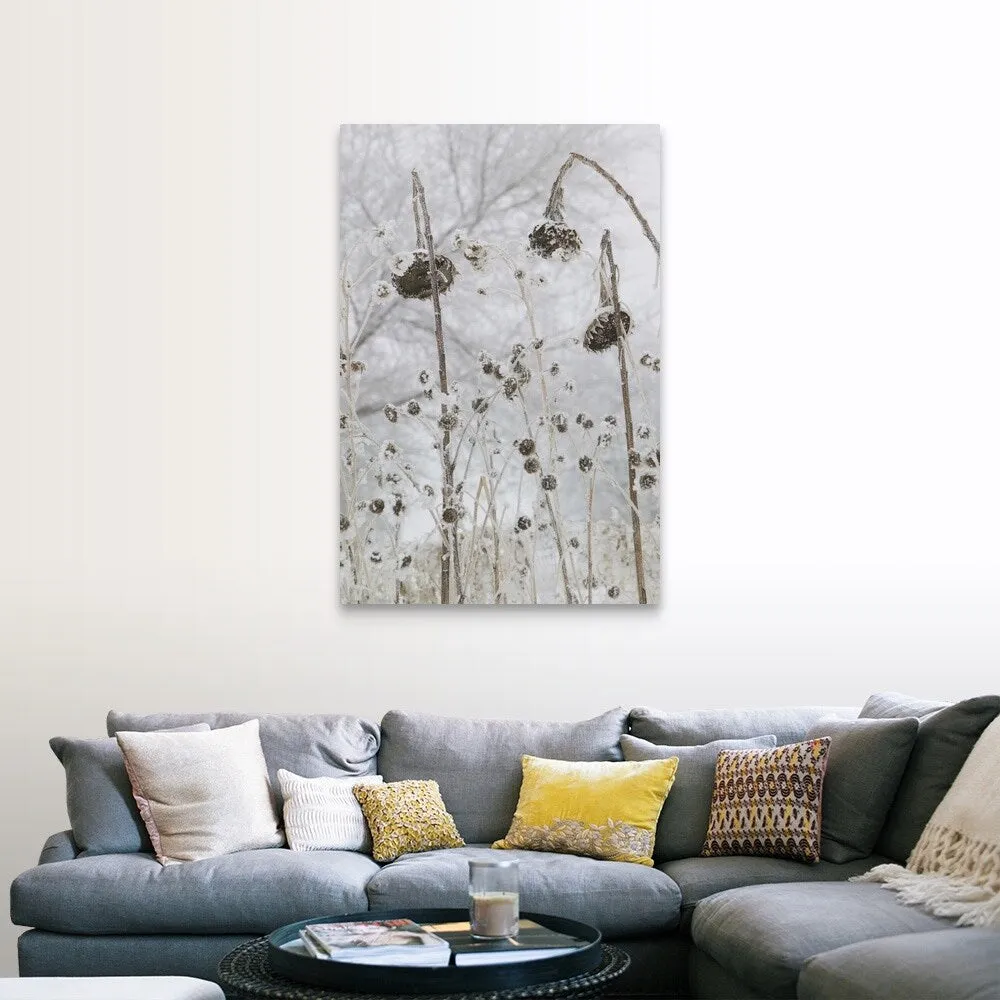 "a number of flowers that have wilted due to cold and snow" Canvas Wall Art