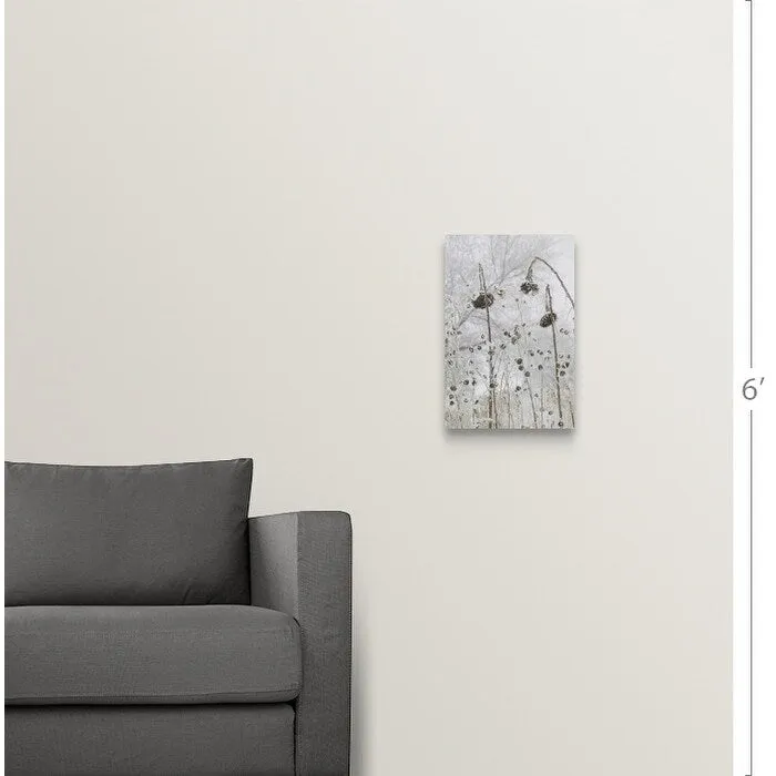 "a number of flowers that have wilted due to cold and snow" Canvas Wall Art